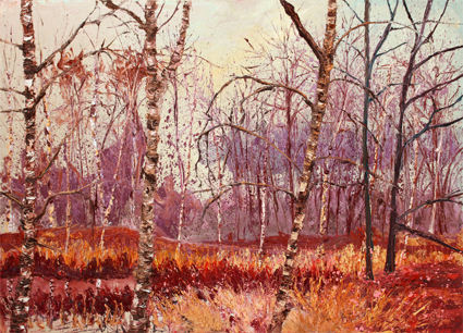 Gertjan Scholte-Albers Zeevijver